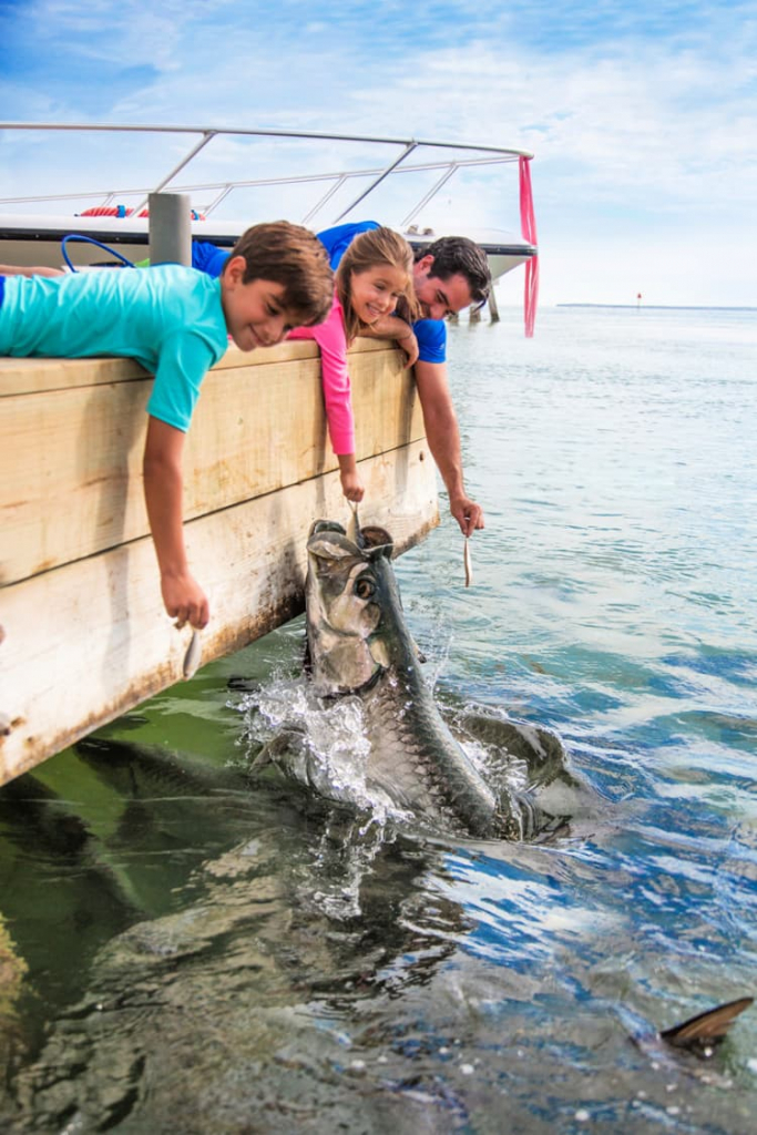 feeding-fish-islamorada-island-my-home-and-travels