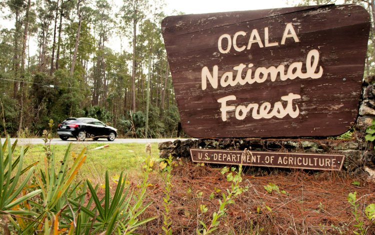 florida outdoors 7 must see once in lifetime my home and travels ocala national forest sign