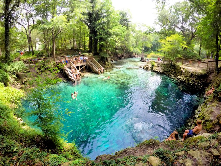 florida outdoors 7 must see once in lifetime my home and travels blue springs