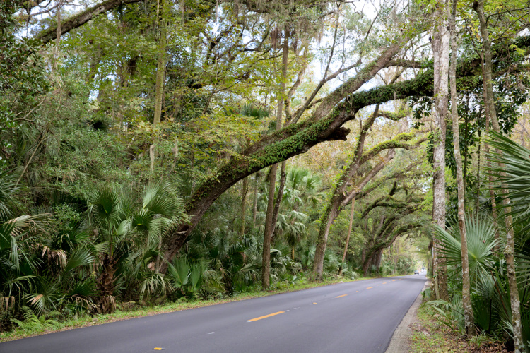 scenic drives in florida my home and travels travel loop