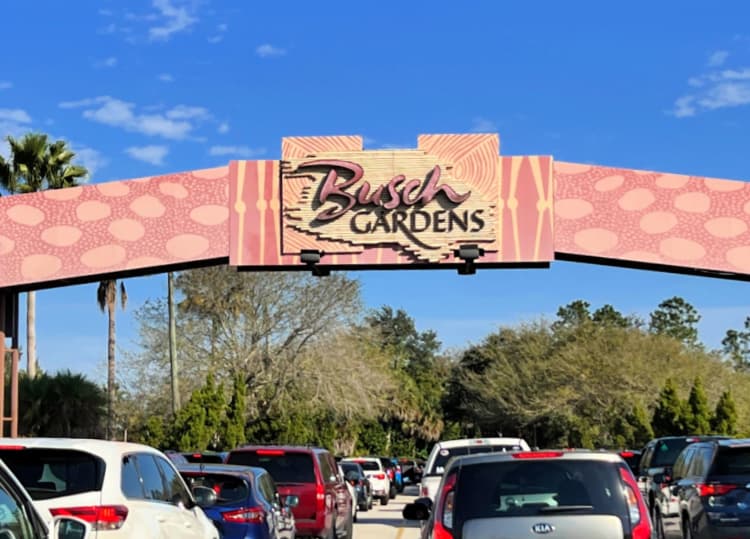 tampa citypass my home and travels busch garden entry