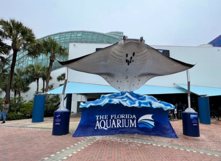 tampa citypass my home and travels florida aquarium