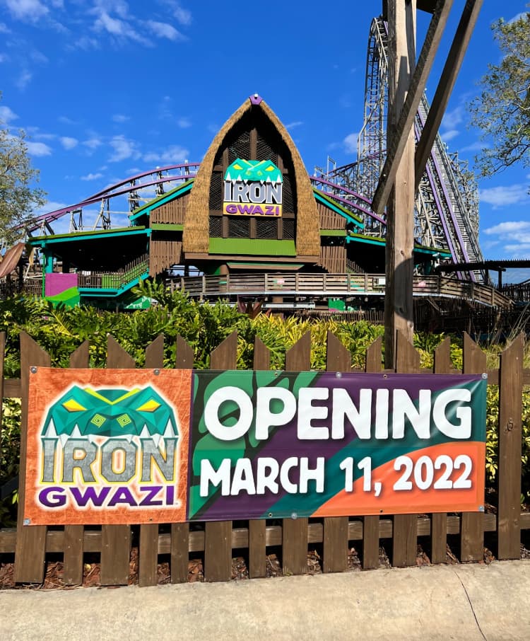 tampa citypass my home and travels iron gwazi