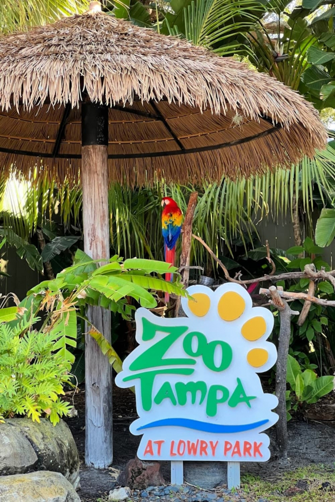 tampa citypass my home and travels zoo tampa