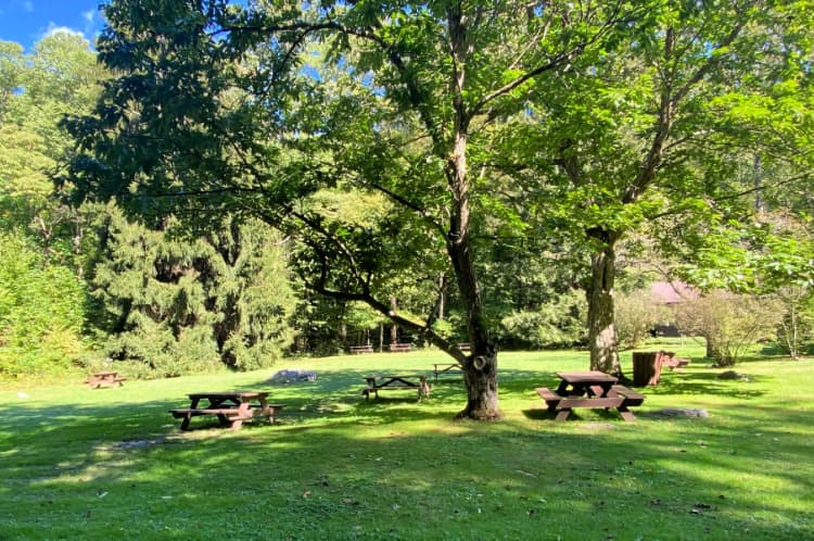 fallingwater frank lloyd wright my home and travels picnic area