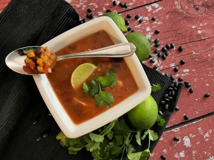 tortilla-soup-my-home-and-travels-served in bowl
