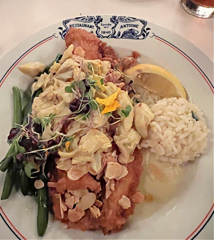 dining-at-antoines-new-orleans-my-home-and-travels-fish amandine