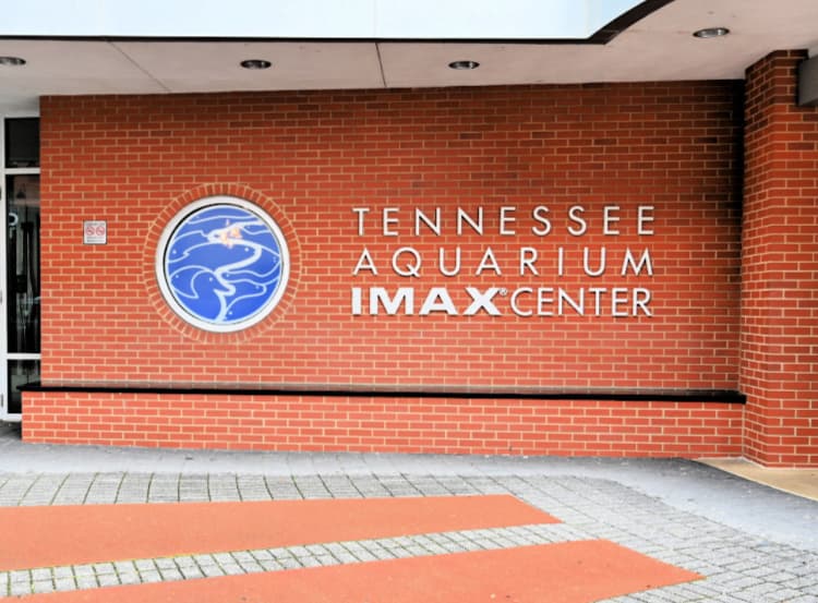 imax entry my home and travels tennessee aquarium