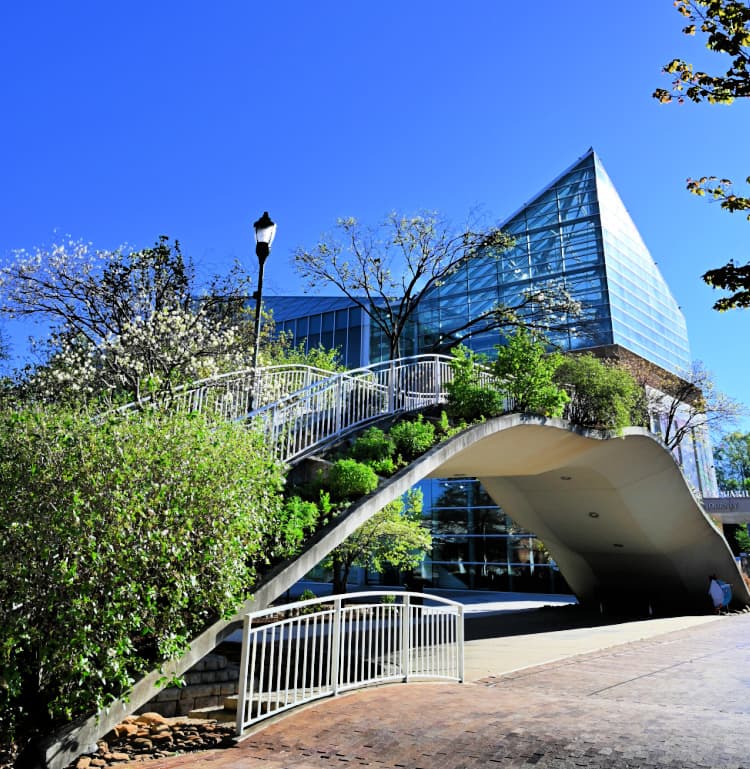 tennessee aquarium bridge