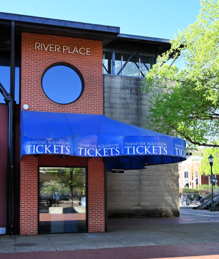 tennessee aquarium ticket office