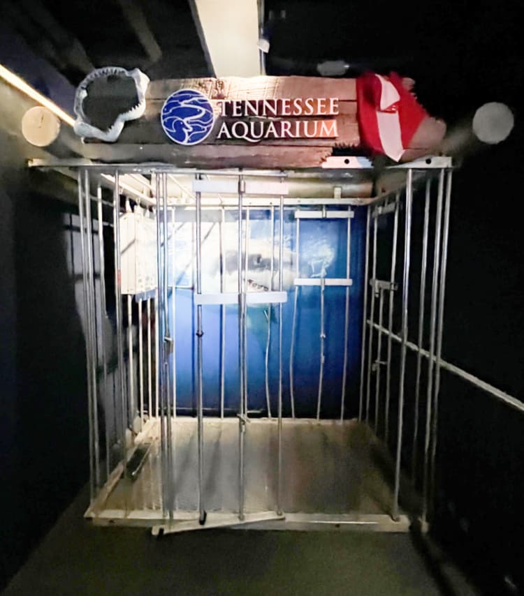 shark cage at aquarium