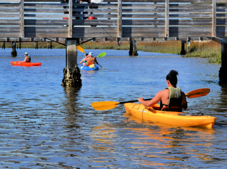 visit cumberland island my home and travels kayak