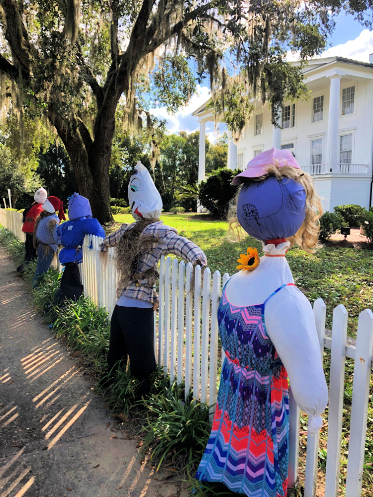 visit cumberland island my home and travels scarecrow