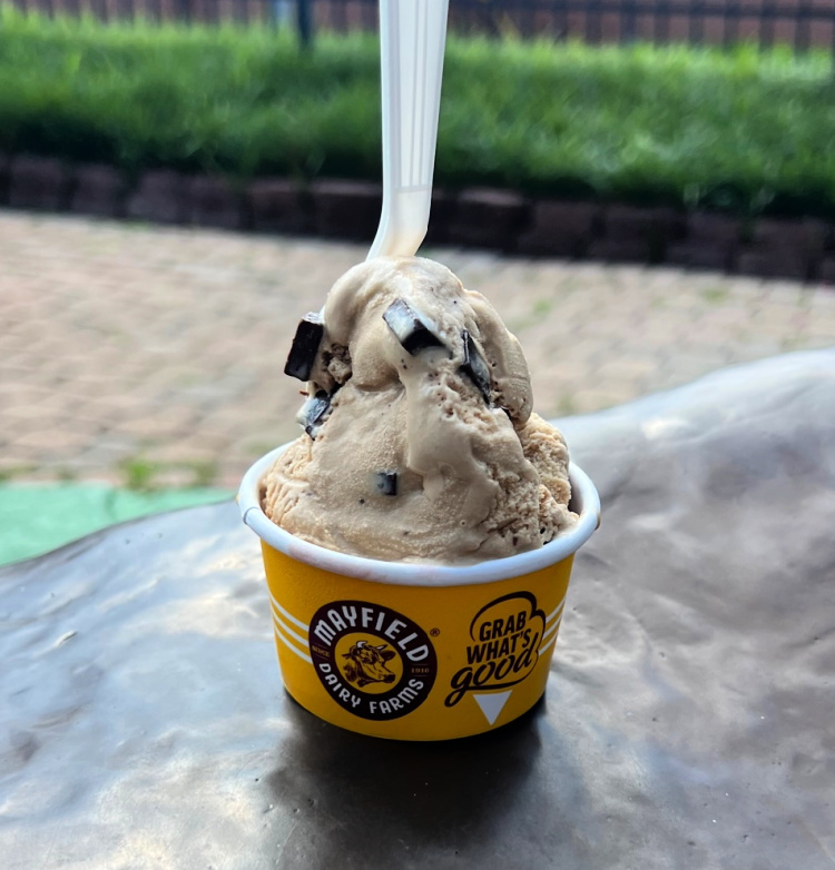 Espresso Chocolate Chunk Ice Cream