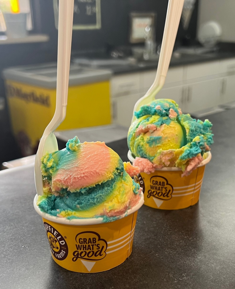 20+ Places for Ice Cream Near You: Lakeland + Polk County