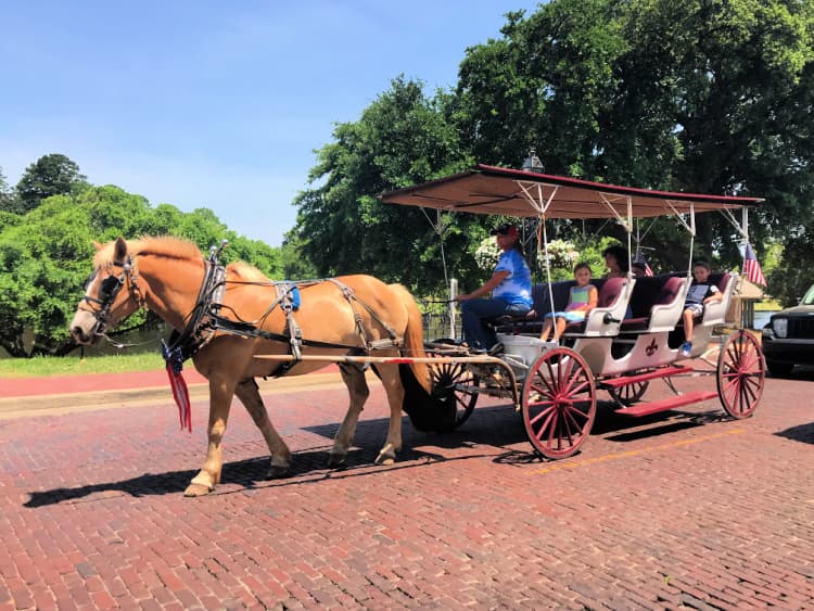carriage ride natchitoches
