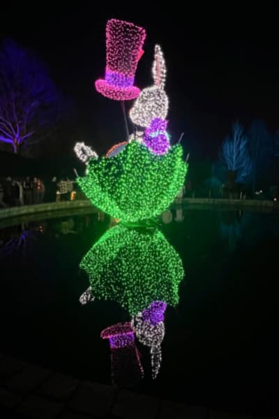 Atlanta Botanical Gardens Lights, Holiday Nights
