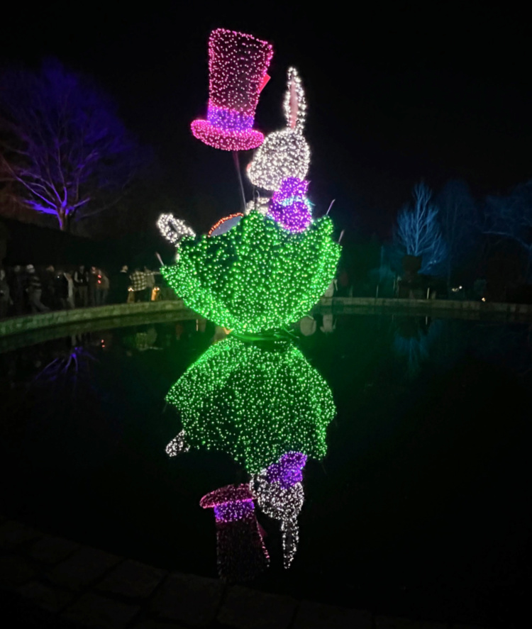 white rabbit garden-lights-holiday-nights-my-home-and-travels