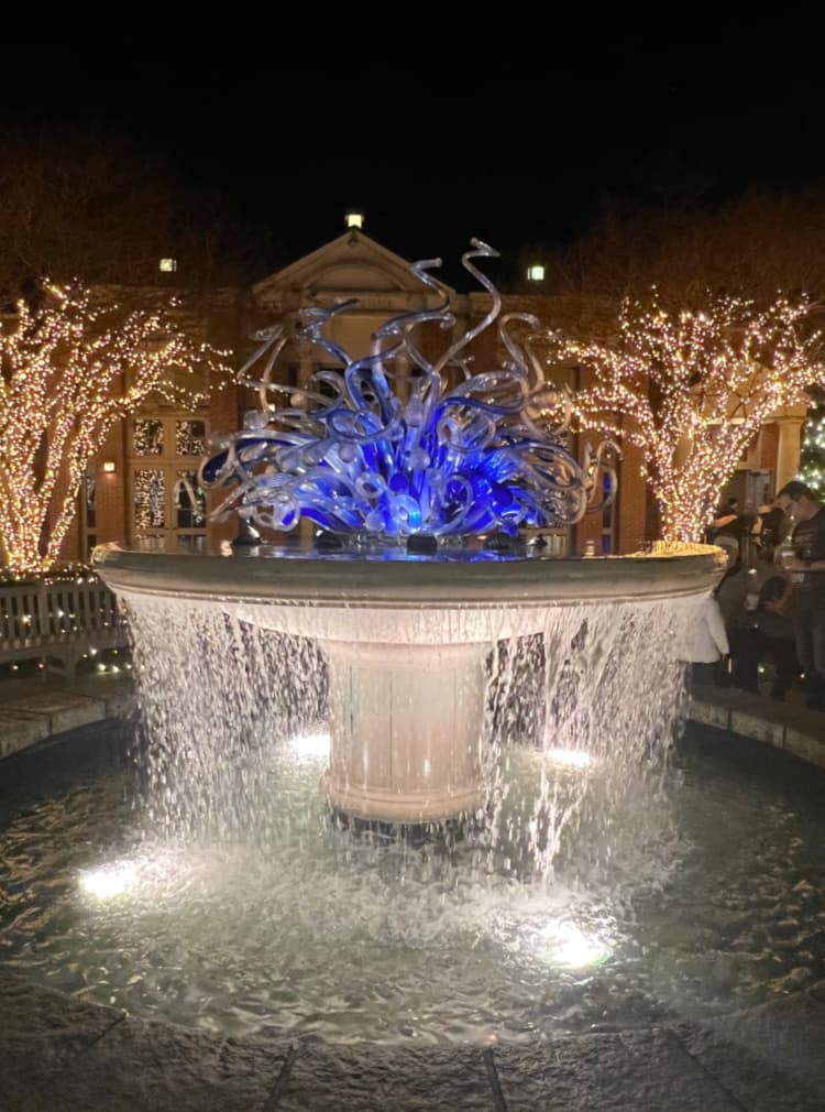 Atlanta Botanical Gardens Lights, Holiday Nights fountains