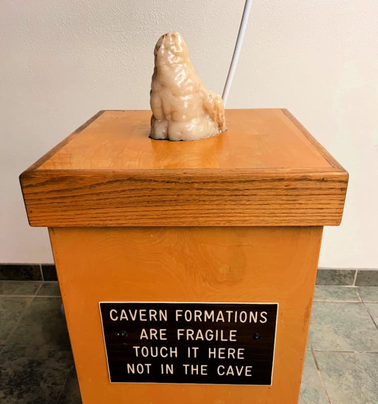 carlsbad caverns my home and travels sample to touch