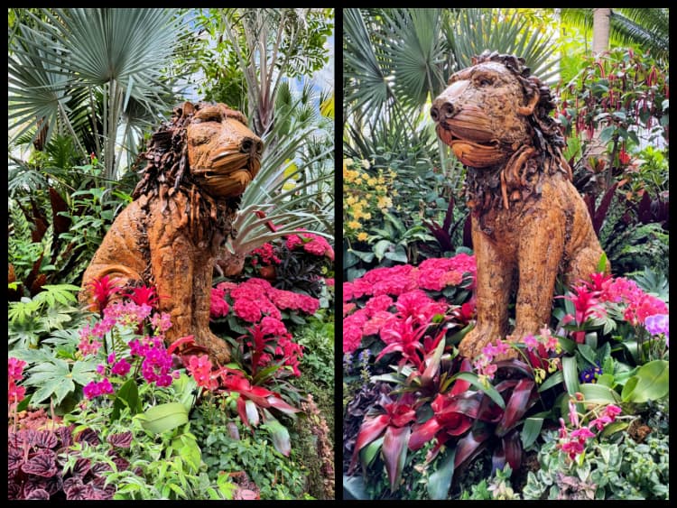 biltmore-my-home-and-travels lions