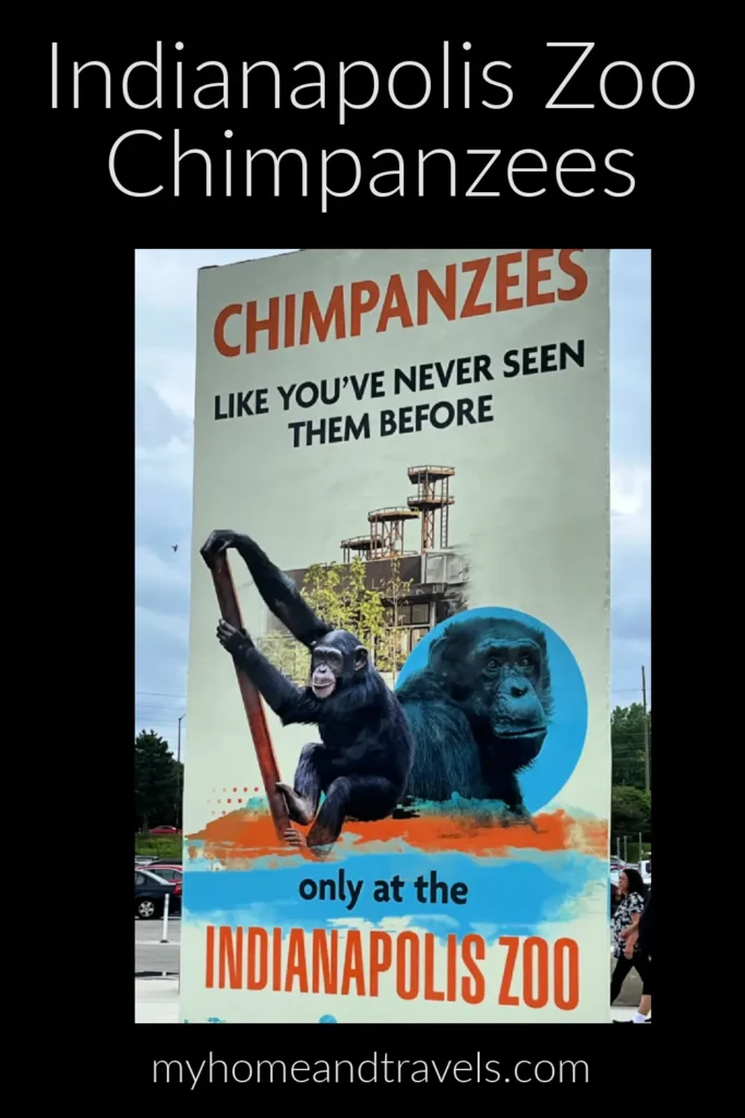 indianapolis zoo chimps my home and travels pinterest image