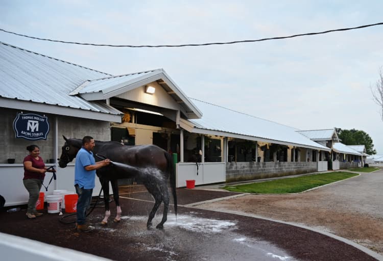 keeneland-race-track-workouts-my-home-and-travels-around-barn 