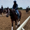 keeneland-race-track-workouts-my-home-and-travels-feature-image