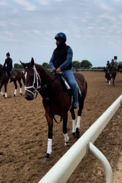 keeneland-race-track-workouts-my-home-and-travels-feature-image