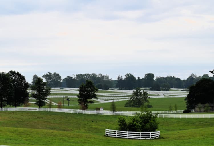 keeneland-race-track-workouts-my-home-and-travels- fences