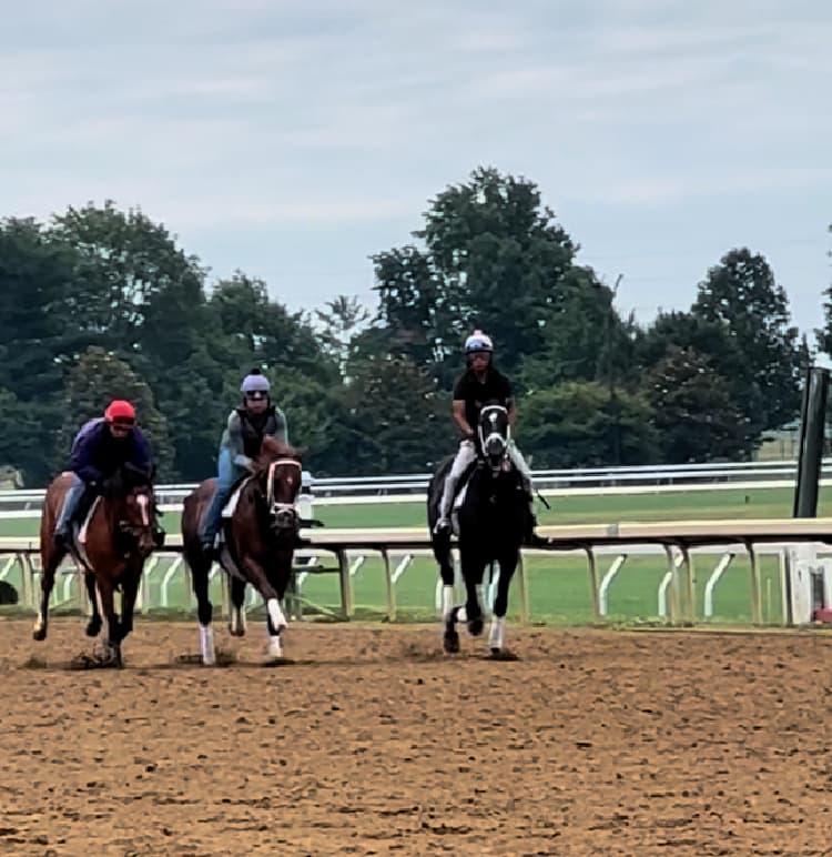 keeneland-race-track-workouts-my-home-and-travels- horses on track