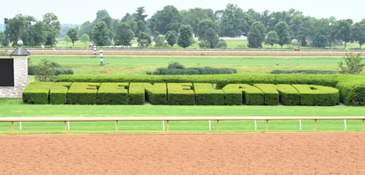 keeneland-race-track-workouts-my-home-and-travels-around-keeneland topiary