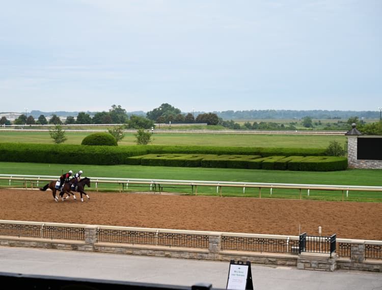 keeneland-race-track-workouts-my-home-and-travels-around-track with horse