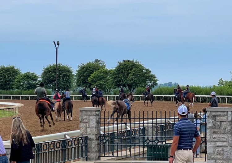 keeneland-race-track-workouts-my-home-and-travels-runaway-horse