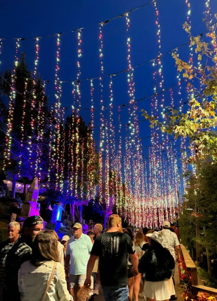 Fall Fun Awaits - Exploring Anakeesta and Bear-Varian Festival in Gatlinburg night