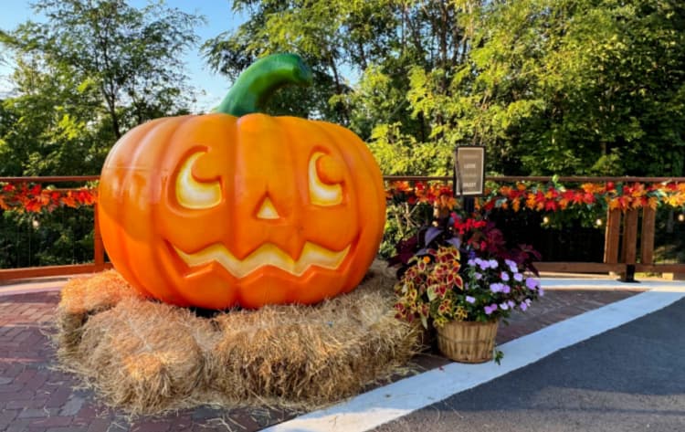 Fall Fun Awaits - Exploring Anakeesta and Bear-Varian Festival in Gatlinburg jack o lantern