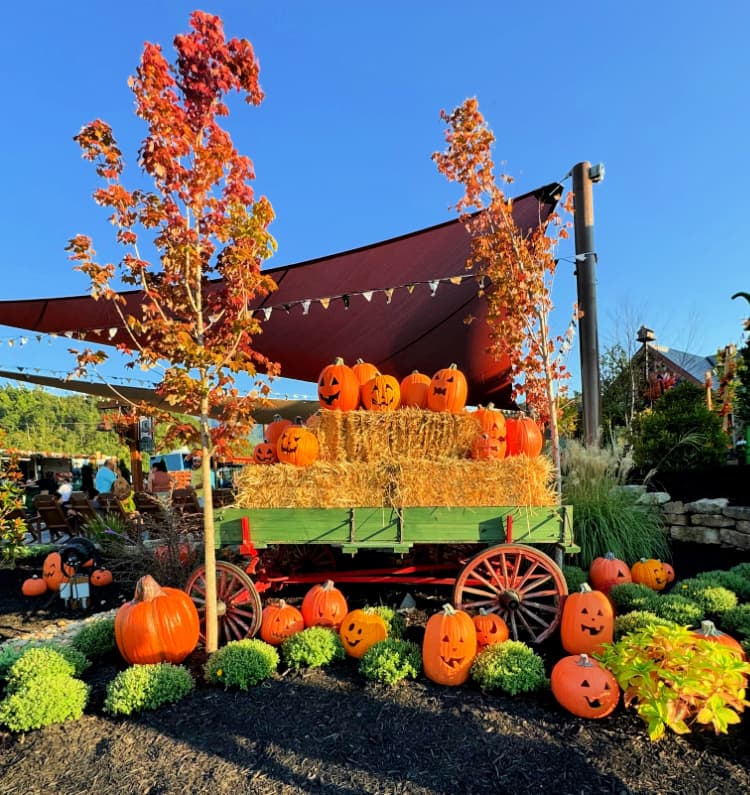 Fall Fun Awaits - Exploring Anakeesta and Bear-Varian Festival in Gatlinburg haywagon and pumpkins