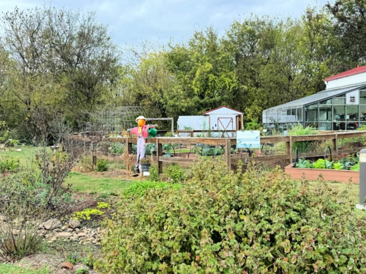 chattanooga-area-food-bank-my-home-and-travels-garden