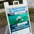 blue spring state park manatee count my home and travels