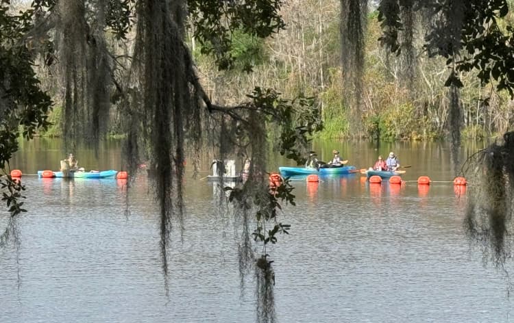 blue-spring-state-park-my-home-and-travel canoes