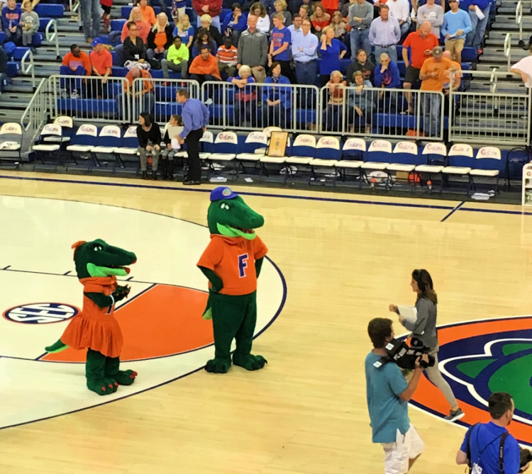 history-of-sec-my-home-and-travels-florida gator