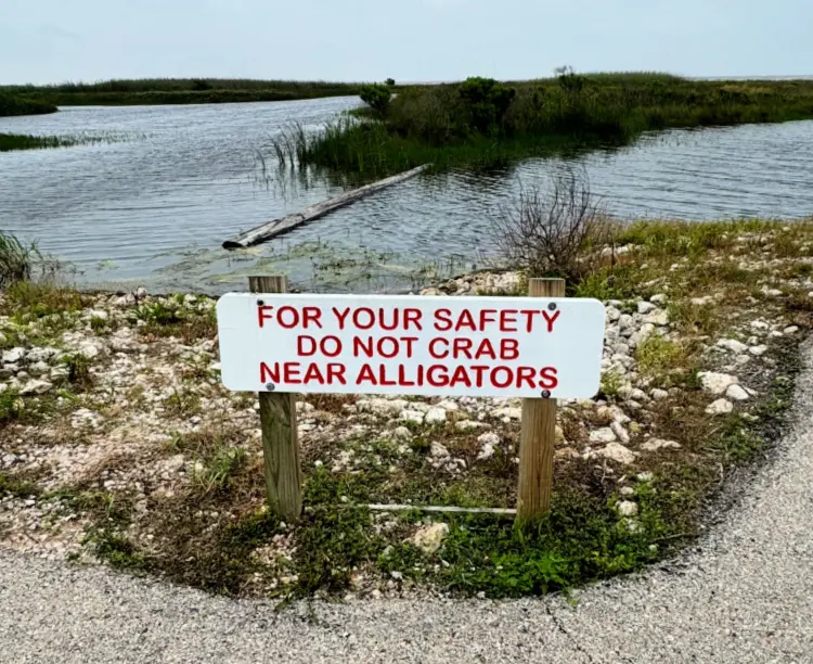 https://visitportarthurtx.com/things-to-do/birding/state park sign