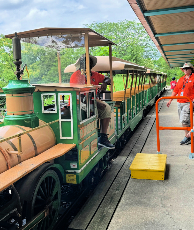 indianapolis-zoo-chimps-my-home-and-travels-white-junction-train