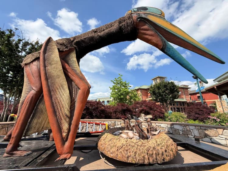 jurassic adventure my home and travels big dino