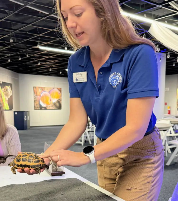 deep-dive-tour-tennessee-aquarium-my-home-and-travels tour guide